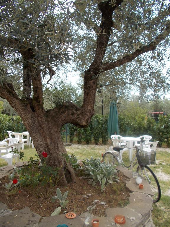 Casa Degli Ulivi Hotel Тиволи Екстериор снимка
